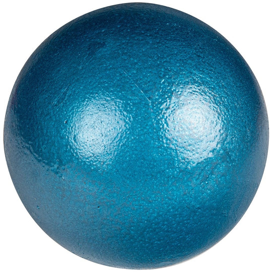 Champro Cast Iron Shot Put TSC