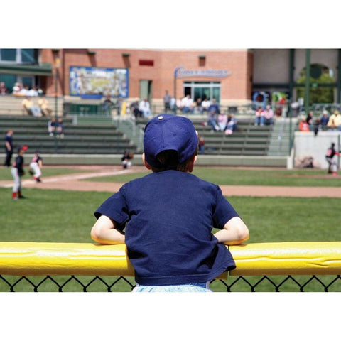 Coversports Fence Top Padding