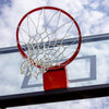 Image of Douglas F5 655 STEEL Basketball System 69565