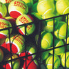 Image of OnCourt OffCourt Deluxe Club Cart w/ Cover & Mesh Divider CEDCC