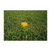 Image of US Specialty Coatings POWERSHOT field markers