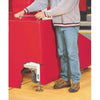 Image of Bison T-REX Club Portable Basketball Hoop BA894GSR