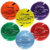 Image of Champion Sports Official Size Volleyball Trainer Set VL20SET