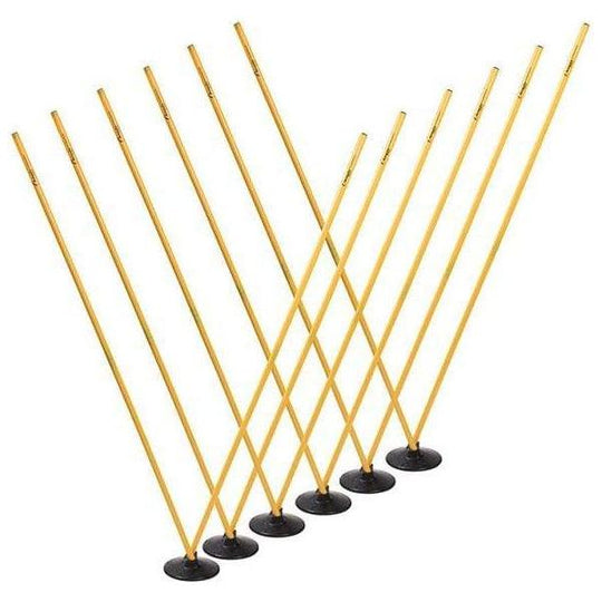 Champion Sports Pro Agility Pole Set PROAGSET