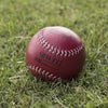 Image of Champion Sports Weighted Softball Set of 8 SBWTSET