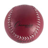 Image of Champion Sports Weighted Softball Set of 8 SBWTSET