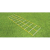 Image of Fisher Athletic 15' Double Speed Agility Ladder AGL4815