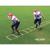 Image of Fisher Athletic 20' Single Speed Agility Ladder AGL2420