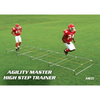 Image of Fisher Athletic Agility Master High Step Ladder Trainer