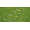 Image of Fisher Athletic Agility Master High Step Ladder Trainer
