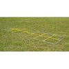 Image of Fisher Athletic Speed Demon Agility Ladder SD1454