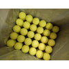 Image of Gladiator Lacrosse Case of 120 Official Lacrosse Game Balls Yellow NOCSAE SEI CERTIFIED