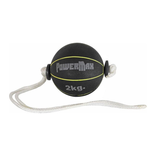 Porter PowerMax Swing Balls