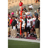 Image of Rogers Athletic Stadium Pro Chain Set w/ Standard Poles 410434