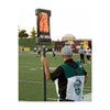 Image of Rogers Stadium Pro Chain Set w/ Pro Down Standard Poles 410443