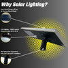 Image of Dominator 16FT LED Solar Light Full Assembly