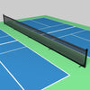 Image of Douglas Pickleball Court Divider Systems