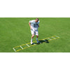 Image of Fisher Athletic 12' Single Speed Agility Ladder AGL1612