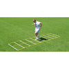 Image of Fisher Athletic 15' Double Speed Agility Ladder AGL4815