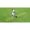 Image of Fisher Athletic 20' Single Speed Agility Ladder AGL2420