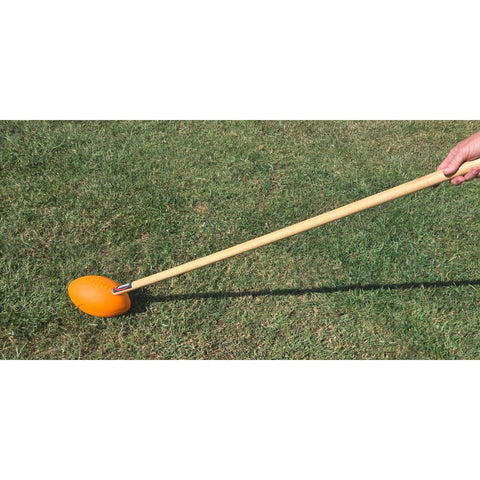 Fisher Football on a Stick STICKBALL