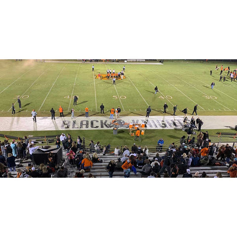 Fisher Titan Sideline Protector