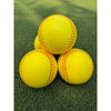 Image of MuhlTech TruFlight AceBallz Pitching Machine Softball 12 pack
