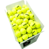 Image of Spinshot Pro2 Tennis Ball Machine