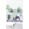 Image of TAG One Sports Radar