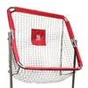 Image of Trigon Football Passing Net FBPASS