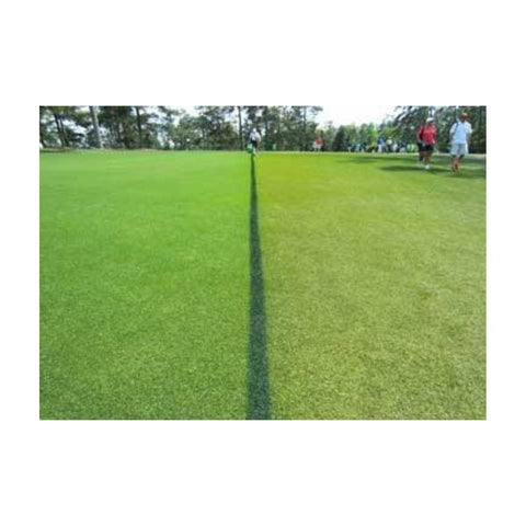 US Specialty Coatings DURASTRIPE Golf Course Paint