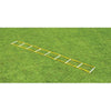 Image of Fisher Athletic 12' Single Speed Agility Ladder AGL1612