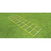 Image of Fisher Athletic 15' Double Speed Agility Ladder AGL4815