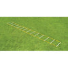 Image of Fisher Athletic 20' Single Speed Agility Ladder AGL2420