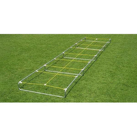 Fisher Athletic Agility Master High Step Ladder Trainer