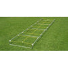 Image of Fisher Athletic Agility Master High Step Ladder Trainer