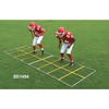 Image of Fisher Athletic Speed Demon Agility Ladder SD1454