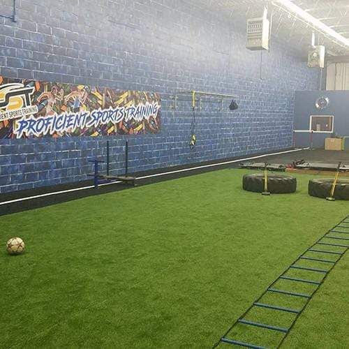 Arena football best sale turf for sale